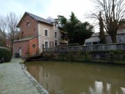 moulin sur 3ha50 dans le Cher (18)