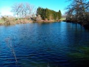 Etang à vendre (Guéret ouest -23-)
