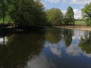 Etang Puy de Dôme (63)