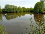 Trois étangs dans une propriété rurale de 30,50ha (Nevers)