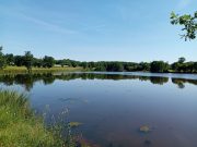 Etang de 4,20 ha fondé en titre en Creuse